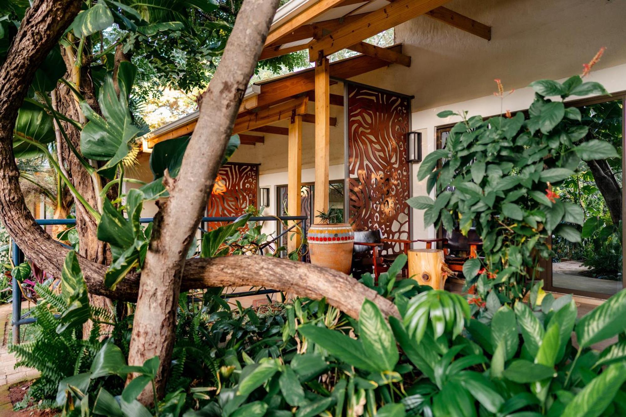 Hotel Shongwe Oasis Victoria Falls Zewnętrze zdjęcie